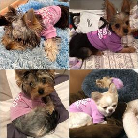 img 3 attached to 🐶 Yikeyo xs Puppy Clothes Girl - Yorkie Clothes for Small Dogs - Small Puppy Clothes Boy - xs Dog Clothes Girl - Tea Cup Puppy Clothes - Female Dog Clothes - Girl Dog Clothes: High-Quality and Stylish Apparel for Your Pet!