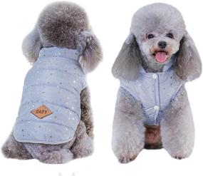 img 4 attached to Xqpetlihai Clothes Fashion Windproof Lightweight Dogs