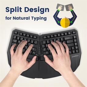 img 3 attached to 🖥️ Perixx PERIBOARD-413B US, Wired USB Ergonomic Compact Split Keyboard - 15.75x10.83x2.17 inches Tenkeyless (TKL) Design - Black - US English