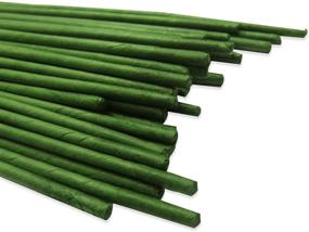 img 2 attached to 🌿 Pack of 50 Green Floral Stem Wire, 12 Inch, 18 Gauge - Homework2