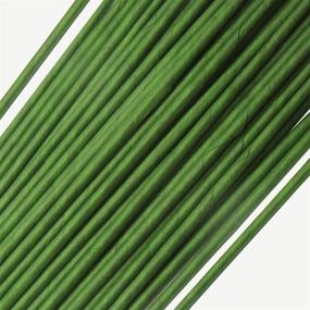 img 3 attached to 🌿 Pack of 50 Green Floral Stem Wire, 12 Inch, 18 Gauge - Homework2