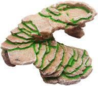 ๐ข turtle reptile hide lizard caves - humidified habitat decor logo