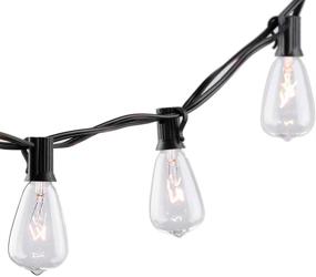 img 1 attached to 🏞️ Enhance Your Outdoor Space with SkrLights 10Ft Edison Bulb String Lights for Patio Garden Porch Backyard Party Deck Yard - Black - (Includes 1 Extra Bulbs)