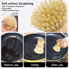 img 1 attached to 🌿 ECOFWORLD Bamboo Mini Scrub Brush Set - Wooden Dish Brush with Coconut Sisal Bristles - Pot Scrubber Brushes for Cast Iron Skillet, Kitchen Sink, Bathroom, and Household Cleaning - Long Lasting