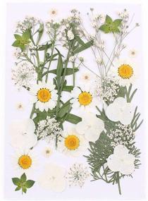 img 2 attached to 🌸 DIY Pressed Flower Decor: Natural Dried Flowers for Resin Jewelry, Crafts & Nail Stickers (D)
