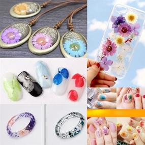 img 1 attached to 🌸 DIY Pressed Flower Decor: Natural Dried Flowers for Resin Jewelry, Crafts & Nail Stickers (D)