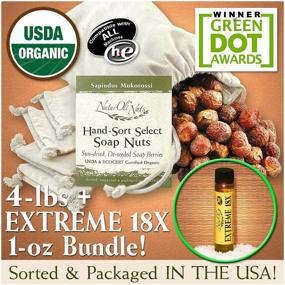 img 2 attached to NaturOli Soap Nuts / Soap Berries. 4-Lbs USDA ORGANIC (960 loads) + 18X Travel Bottle! (12 loads) Seedless, 4 Wash Bags, Tote Bag, 8-pg info. Organic Laundry Soap / Natural Cleaner. Processed in USA!