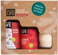 🌿 natural winter wishes kit - better life, citrus spice scented candle, hand soap, & dish soap, 24322 logo