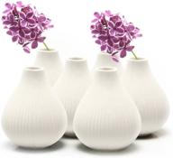 🌼 chive 'frost' small ceramic vase set of 6 - beautiful decorative vases for flowers & house plants in white logo