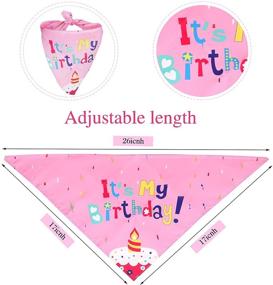 img 1 attached to ANYI16 Birthday Bandana Girl Supplies Banner