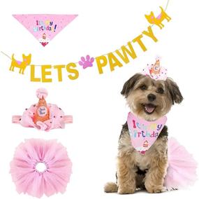 img 4 attached to ANYI16 Birthday Bandana Girl Supplies Banner