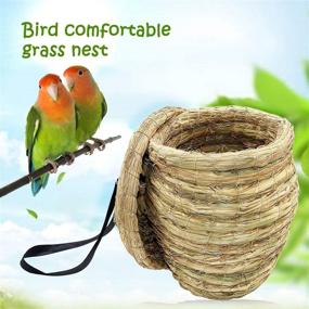 img 1 attached to 🏡 BWOGUE Eco-Friendly Straw Birdhouse: Natural Fiber Nest for Parrots, Parakeets, Conures, and Cockatiels