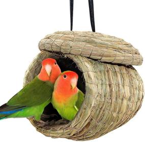 img 4 attached to 🏡 BWOGUE Eco-Friendly Straw Birdhouse: Natural Fiber Nest for Parrots, Parakeets, Conures, and Cockatiels