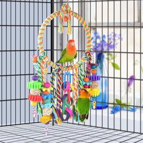 img 1 attached to 🐦 Enhance Your Bird's Happiness and Playfulness with KATUMO Bird Swing Toy and Colorful Chewing Perch - Perfect for Lovebirds, Finches, Parakeets, Budgerigars, Conure & More!