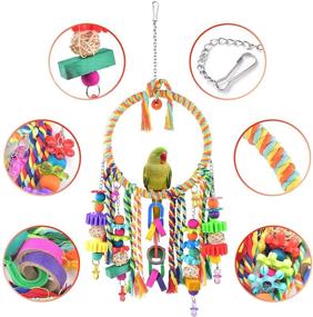 img 2 attached to 🐦 Enhance Your Bird's Happiness and Playfulness with KATUMO Bird Swing Toy and Colorful Chewing Perch - Perfect for Lovebirds, Finches, Parakeets, Budgerigars, Conure & More!