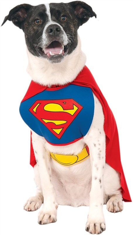 dc comics pet costume superman 로고
