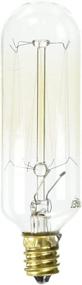 img 1 attached to 💡 Bulbrite Vintage Incandescent T8 Candelabra Screw Base (E12) Light Bulb, 1 Count (1 Pack)