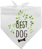 family kitchen wedding bandana accessories dogs for apparel & accessories logo