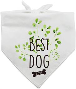 img 2 attached to Family Kitchen Wedding Bandana Accessories Dogs for Apparel & Accessories