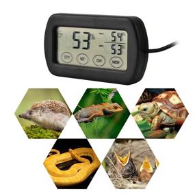img 2 attached to 🥚 Digital LCD Egg Incubator Thermometer Hygrometer with Remote Probes - Automatic Alarm, Min Temperature and Humidity Monitor for Reptile, Amphibian Tanks