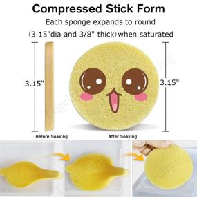 img 3 attached to 🧽 PVA Compressed Facial Sponge Pads, Round Makeup Removal and Exfoliating Cleansing Sponges for Women (60 Pcs, Yellow)