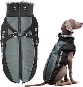 img 4 attached to 🐶 Waterproof Dog Winter Jackets by Didog: Cold Weather Coats with Harness, Furry Collar, and Easy Walking Design, Soft Warm Sports Apparel for Medium to Large Dogs