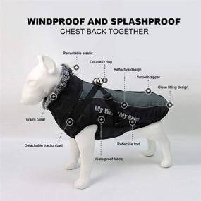 img 3 attached to 🐶 Waterproof Dog Winter Jackets by Didog: Cold Weather Coats with Harness, Furry Collar, and Easy Walking Design, Soft Warm Sports Apparel for Medium to Large Dogs