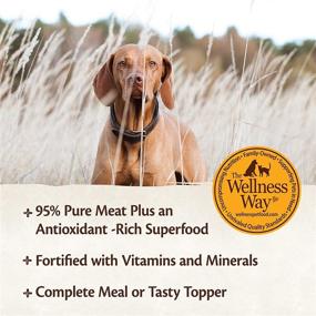 img 2 attached to 👑 Why Wellness CORE Simply Shreds Tops the List for Natural Grain Free Wet Dog Food Mixers and Toppers