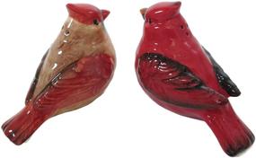 img 1 attached to 🕊️ Classy Cardinal Salt and Pepper Shaker Set: Elegant Male and Female Design