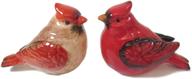 🕊️ classy cardinal salt and pepper shaker set: elegant male and female design logo