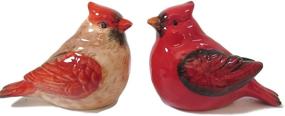 img 3 attached to 🕊️ Classy Cardinal Salt and Pepper Shaker Set: Elegant Male and Female Design