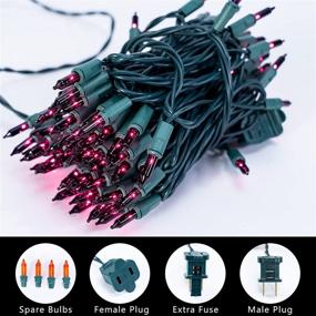 img 2 attached to 🎄 Festive Fantavalue Christmas Purple Lights: 100 LED Tree Lights for Indoor & Outdoor Decor - Ideal for Halloween, Christmas Tree, Party, Wedding, Patio, Garden, Home Decoration