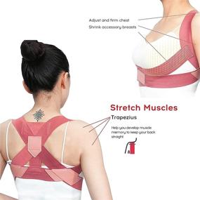 img 3 attached to Корректор осанки для женщин с регулируемой опорой