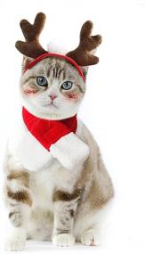 img 4 attached to Small Pet Costume for Christmas: Cat and Dog Outfit, Xmas Antler Headband with Scarf, Santa Suits, Sailor Costume for Cats, and Christmas Tie Set