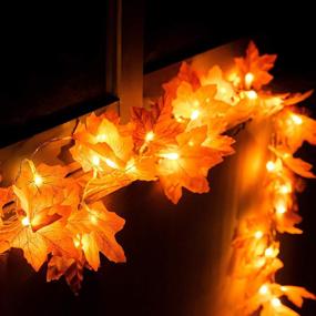 img 1 attached to 🍁 Thanksgiving Lights 20 LED Maple Leaves String Light Fall Decorations, 6.6 Ft Fall Light with 2 Modes, Autumn Garland Light Home Indoor Outdoor Thanksgiving Decorations Battery Operated