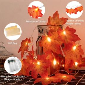 img 3 attached to 🍁 Thanksgiving Lights 20 LED Maple Leaves String Light Fall Decorations, 6.6 Ft Fall Light with 2 Modes, Autumn Garland Light Home Indoor Outdoor Thanksgiving Decorations Battery Operated