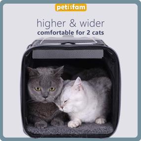img 3 attached to 🐱 Premium Top Load Cat Carrier with Privacy Zippered Flaps - Ideal for Large, Medium Cats and 2 Kitties. Especially Designed to Comfort Sensitive and Nervous Felines