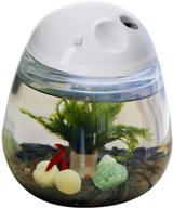 saim betta aquarium mini fish tank plastic with led light for desktop decoration in home, living room, bedroom, office - creative gift, clear logo