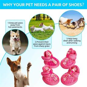 img 1 attached to 🐾 SUNFURA Dog Shoes Pet Boots: Breathable and Comfortable Mesh Sandals with Anti-Slip Sole - Ideal Paw Protection for Summer Activities