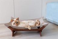 cat hammock friendly 100 cats logo