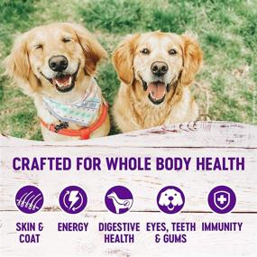 img 1 attached to 🐶 Wellness Complete Health Dry Dog Food: All-Natural, USA-Made, No Fillers or Artificial Ingredients, Packed with Essential Nutrients and Taurine