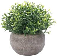 🌿 hc star mini artificial plant potted - lifelike flower green plants for indoor and outdoor decor, small fake grass plant for house desk shelf, greenery room decorations logo