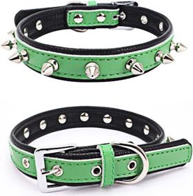 img 2 attached to Avenpets Genuine Leather Studded Collars