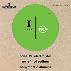 img 2 attached to 🌱 Superieur Electrolytes: Plant-Based Hydration & Recovery Supplement with Sea Minerals - Keto Friendly, Non-GMO, Zero Sugar, Lime Blueberry Flavor (70 Servings)