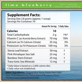 img 3 attached to 🌱 Superieur Electrolytes: Plant-Based Hydration & Recovery Supplement with Sea Minerals - Keto Friendly, Non-GMO, Zero Sugar, Lime Blueberry Flavor (70 Servings)