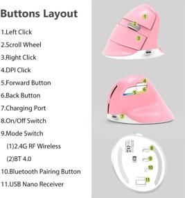 img 2 attached to 🖱️ Optimized M618mini-Pink Vertical Mouse with 2.4G USB Dongle and BT 4.0, Silent Ergonomic Wireless Mouse featuring Built-in Rechargeable Battery, 6 Buttons, 4 Level Sensitivity, Ideal for Small Hands