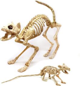 img 4 attached to 🦴 Skeleton Cat and Rat Skeletons: Ideal Halloween Yard Decor, featuring Reaper Bones Animals