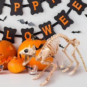 img 3 attached to 🦴 Skeleton Cat and Rat Skeletons: Ideal Halloween Yard Decor, featuring Reaper Bones Animals