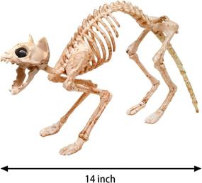 img 1 attached to 🦴 Skeleton Cat and Rat Skeletons: Ideal Halloween Yard Decor, featuring Reaper Bones Animals