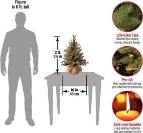 img 2 attached to 🎄 National Tree Company Green Dunhill Fir Pre-Lit Mini Christmas Tree - 2 Feet, White Lights, Pine Cones, Berry Clusters, Frosted Branches, Includes Cloth Bag Base